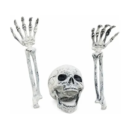 Ashgrave Skeleton, studio packshot on white