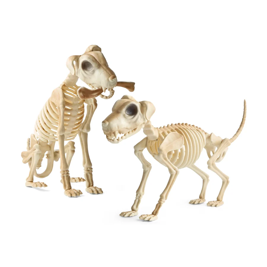 Two bone-white skeleton dogs on a lawn with a bone between them