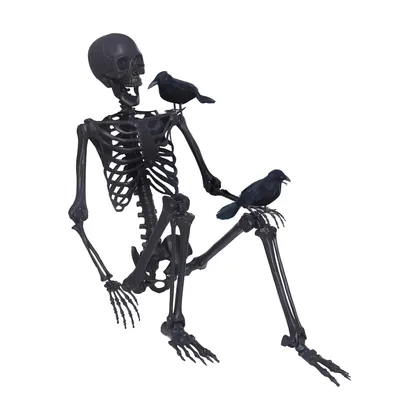 Blackmoor 5.4 ft Skeleton, studio packshot on white