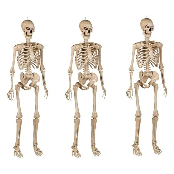 Fenwick 5 ft Poseable Skeleton, 3 pack, closer in