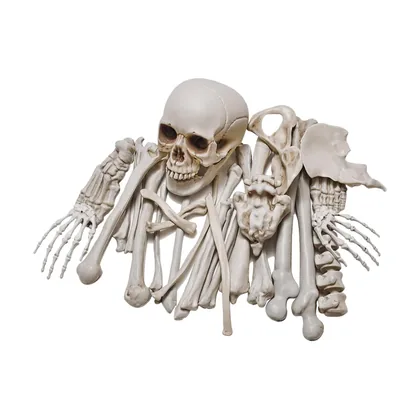 Nightfell Skeleton, studio packshot on white