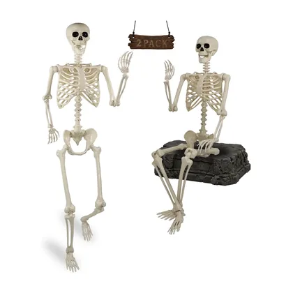 Palewick 5.4 ft Skeleton, studio packshot on white