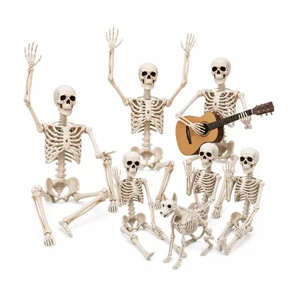 Rookhaven 5.4 ft Skeleton, studio packshot on white