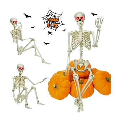 Vesper 5.4 ft Skeleton, studio packshot on white