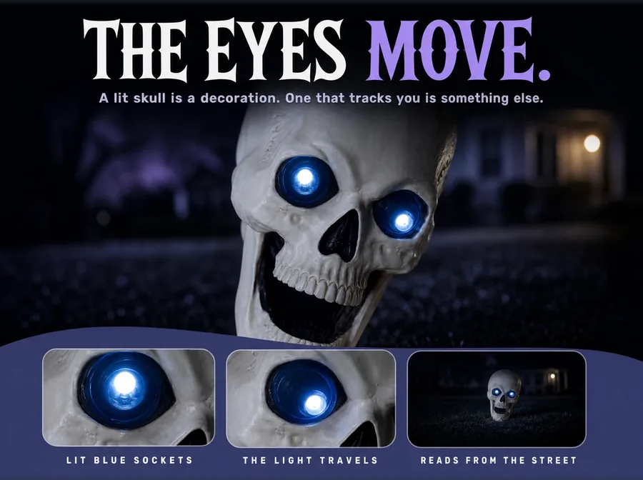 Night close-up of the skull, the white point of light sitting in a different place inside each blue eye.